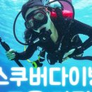 용인스킨스쿠버