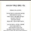 천주교의 코로나 극복을 청하는 기도문 이미지