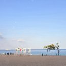 오션비치 | 속초 케이크 맛집 오하스 오션뷰 카페 켄싱턴 설악비치 후기