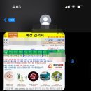 띠아모라이프