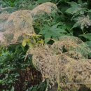 서천근린공원 이미지