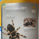 자연전집 이미지
