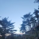 창녕 화왕산 자연휴양림 숲속의집 8동 미나리 후기