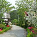 샛별펜션 이미지