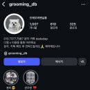 모찌펫살롱 이미지