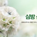 여전히 우리에게는 심방이 필요합니다,, 이미지