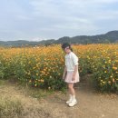 악양생태공원(숲속놀이터 옆) 네이버블로그