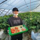 진형농장 이미지