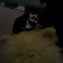 호두데이 이미지