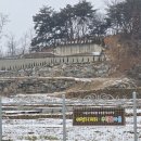군남-4 Daum카페