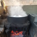 불로고분공원 이미지