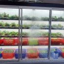 제주유기농쌈밥촌용전점 이미지