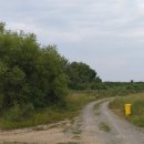 필펜션모텔 이미지