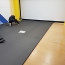 무릉초등학교 이미지