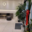 서울더플랜치과의원 | 노원구치과 서울더플랜치과의원 접근성 좋은 깔끔한치과