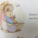 [자격증 취득과정] 방과후지도사(6) 이미지