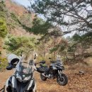 복대복소한마리곰탕