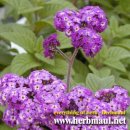 윤옥농장 이미지