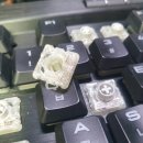 수원-0063 이미지