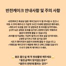 늘봄케이크 이미지
