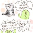 국가대표급축산물센터 이미지