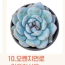 먼로농장 이미지