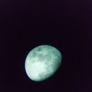 새보람유치원 이미지