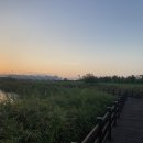 제25회 순천남승룡마라톤대회 이미지