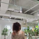 쳇GPT 영어회화 이미지