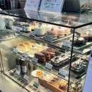 해운대해수욕장 | 『내돈내산』 라떼 아트가 쁜 해운대해수욕장 바로 앞 카페 “시니커피컴퍼니” 솔직후기