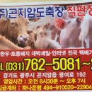 곤지암도축장직판장