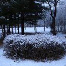 늘푸른공원4 이미지