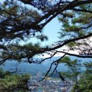 거진시내 이미지