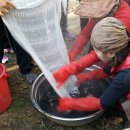 숲속의아침민박펜션 이미지