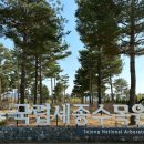 이마트24 화원명천로점 | 세종 수목원 봄꽃 실시간 개화 상태