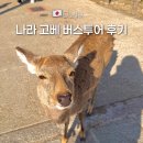 젊코 음식문화거리 | 오사카 근교 소도시 나라 고베 버스투어 당일치기 후기