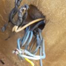 오마이모텔 이미지