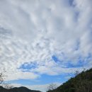 달자농장 이미지