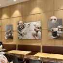 뚜레쥬르 금호힐스테이트점