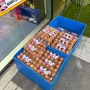 해오름 | 해오름 하이축산 내돈내산 한우꽃등심 , 삼겹살 후기