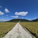 철원 평야의 풍경 이미지