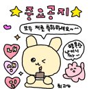 시소샵
