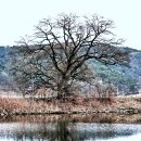 대평낚시터 이미지