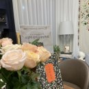 문화공동체히응 이미지