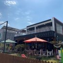 개밥주는여자 이미지