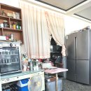 성모반점 이미지