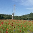 인천대공원(야외음악당 옆) 이미지