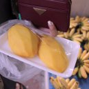 이천고세