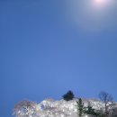 만선감자옹심이 이미지