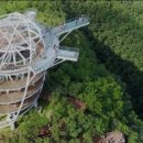 조국의 미래 청년의 이미지